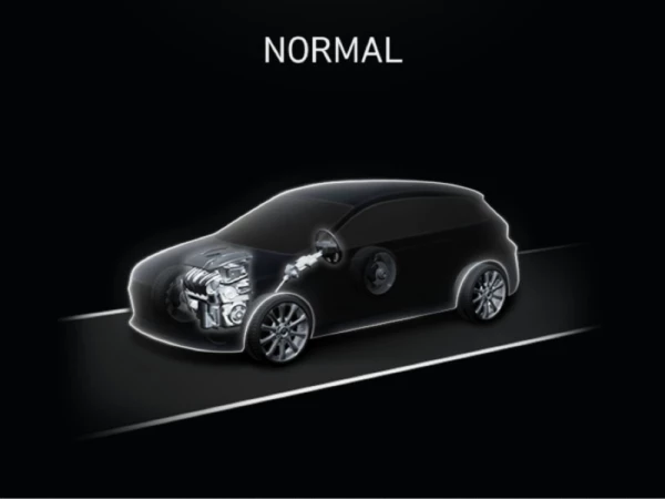 Normal.