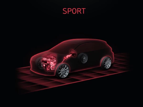 Sport.